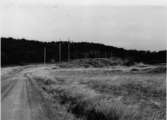 Fornl 28 Smörkullen , Skepplanda sn. Foto: Göran Hellgren 1981, Vänersborgs museum