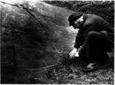 Torsten Högberg tolkar hällristningar vid Jätteberget Fornl 56. Skepplanda sn. Foto: Erling Svensson 1981