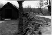 Skövne kyrka, Bogårdsmuren  
1988-05-03