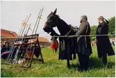 Lödöse musum