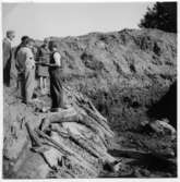 Lödöse, utgrävning 34
Foto: W Ängermark 1964