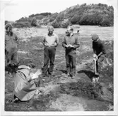 Lödöse. Tegelugn. Neg A: 181 a. Foto W Ängermark, Vänersborgs Museum 1966.