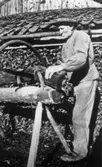 Gustav-Adolf Johansson Gärdet, Vasared sågar ved på Ca 1930-talet.
Foto: Einar Johansson.
Se Tvärred förr och nu 1988 sid 448.