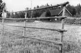 Havrehässja hos Holger Andersson Högeryd ca 1970. Den siste som hässjade sin havre i Tvärred.
Foto: Bertil Gardell.