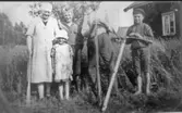 Höskörd hos familjen Klasson Nytomt, ca 1930. Ester, Ingrid, Torsten, Klas och Helge. Se Tvärred förr och nu sid 468.