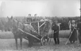 Höskörd i Onsered ca 1925. Karl-Göran, Olle, Maj, Sigfrid, Alma Andersson. Till höger skymtar Ragnar Svantesson, höhjälp för dagen. Hästen heter Flora.