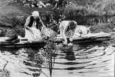 På tvättbryggan i ån i Skärvenäs. Den dämdes upp. Hanna Broman och dottern Greta Johansson sköljer tvätt.
Foto: K-G Broman 1949.