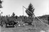 Kon vattnas vid brunnen i Kärrabo. Brunsvokten ännu i bruk på 1950-talet.
Foto: Gustav Johansson