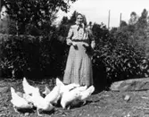 Hönsgården i Kärrabo. Troligen på 1930 -40 talet.
Foto: Gustav Johansson