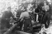 Svensbopojkarna hugger meterved på 1940-talet. Bränslekommissionen ålade skogsägare att leverera ved. Karl-Erik, Einar, Folke, Åke och Gustav Andersson, Svensbo. Se Tvärred förr och nu sid 346.