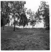 Brätte  Vassända-Naglum