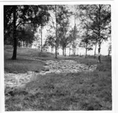 Brätte  Vassända-Naglum