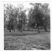 Brätte  Vassända-Naglum