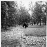 Brätte  Vassända-Naglum