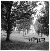 Brätte  Vassända-Naglum