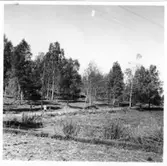 Brätte  Vassända-Naglum