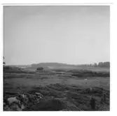 Brätte från Vassända kyrkoplats,  Brätte  Vassända-Naglum