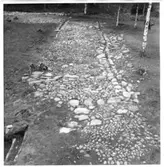 Utgrävning   Brätte  Vassända-Naglum