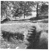 Markvård  Brätte  Vassända-Naglum