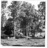 Markvård  Brätte  Vassända-Naglum