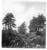 Kvarnbäcken  Brätte Vassända-Naglum