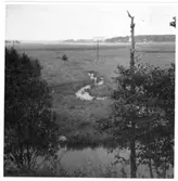 Kvarnbäckens utlopp   Brätte  Vassända-Naglum