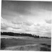 Väster om Kvarnbäcken  Brätte  Vassända-Naglum