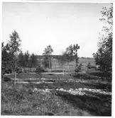 Utgrävning  Brätte  Vassända-Naglum