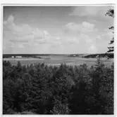 Utsikt åt norr,  Brätte  Vassända-Naglum