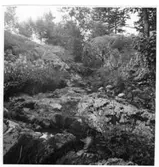 Brätte  Vassända-Naglum