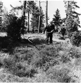 Brätte  Vassända-Naglum