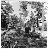 Brätte  Vassända-Naglum