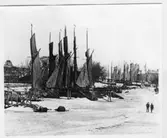 Vänersborg. Segelskutor vid hamnen