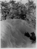 Vintern 1929,  Skräcklan  Vänersborg