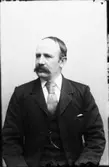 Reinhold Eriksson  Vänersborg