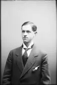 Adolf Hallonkvist  Vänersborg
