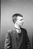 Axel Johansson  Vänersborg