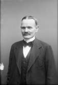 Herman Johansson  Vänersborg