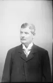 Axel Pettersson  Vänersborg
