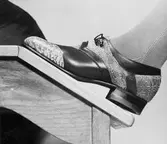 En promenadsko mot en bänk.