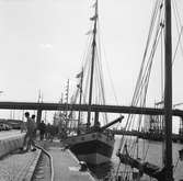 Segelfartyg. Göteborg