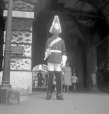 London. En livgardist med dragen värja på sin vaktpost.