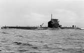 U-båten Hajen 3