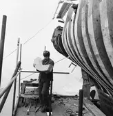 Byte av bordläggning på styrbordssidan.