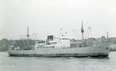 Ägare:/1936-41,1946-66/: Det Forenede Dampskibsselskab A/S. Hemort: Köpenhamn.