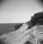 Motorvägen från Jönköping norrut, här schaktas vid Vista kulle 1958. Den nya sträckningen var klar 1960.