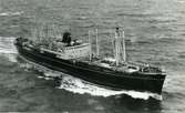 Ägare:/1962-73/: Compagnie des Messageries Maritimes S.A. Hemort: Dunkerque.