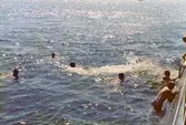 Svalkande dopp utanför U-båten Hajen 1975