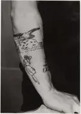 Tatueringsbilder.

Matrosen Bror Larsson.
Höger arm, handstucket arbete, utfört i Göteborg 1918 - 1920