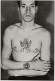 Tatueringsbilder.

Matros Folke Björklund.
bröstbilden utförd i Grimsby 1931.
Ankaret på höger hand av Carl Gustafsson (